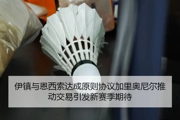 伊镇与恩西索达成原则协议加里奥尼尔推动交易引发新赛季期待